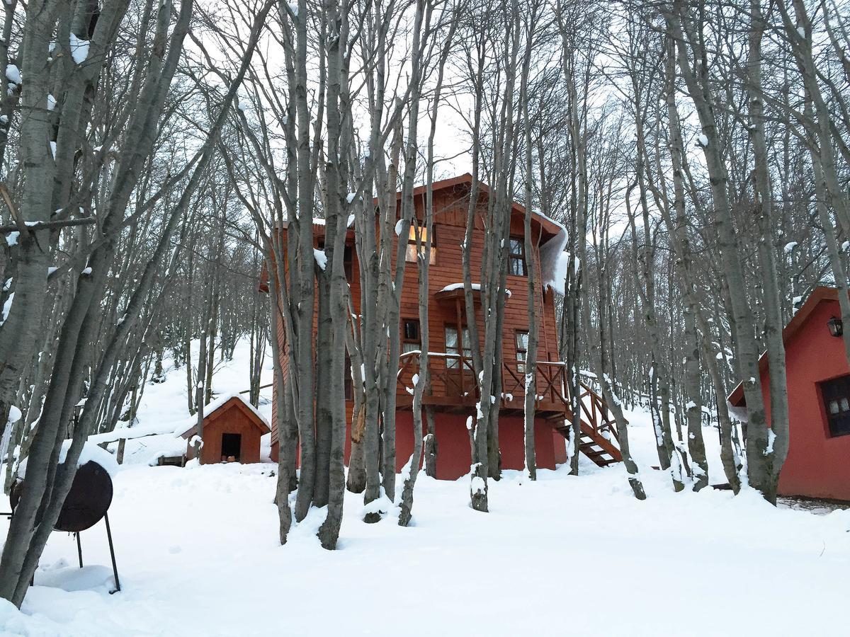 Cabanas Bosque Del Faldeo Ushuaia Dış mekan fotoğraf