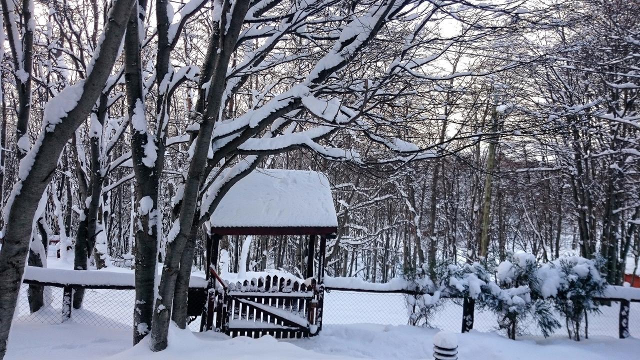 Cabanas Bosque Del Faldeo Ushuaia Dış mekan fotoğraf