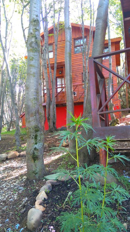 Cabanas Bosque Del Faldeo Ushuaia Dış mekan fotoğraf